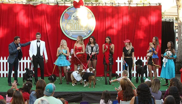 The_Bachelor_season_22_episode_3_recap_dog_show.jpg